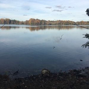 Meet your Posher, Ana